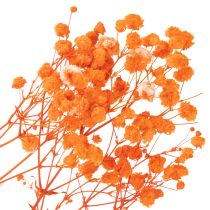 Itens Buquê de flores secas de Gypsophila (mosquitinho) 75cm 100g