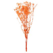 Itens Buquê de flores secas de Gypsophila (mosquitinho) 75cm 100g