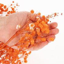 Itens Buquê de flores secas de Gypsophila (mosquitinho) 75cm 100g
