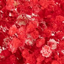 Itens Gipsofila seca (Gypsophila) - Ramo de 75 cm - 100 g