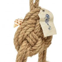 Itens Decoração suspensa decoração de nó de corda marítima com conchas Ø9cm 45cm