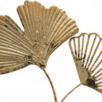 Itens Cabides decorativos dourados em formato de ginkgo, estilo vintage em metal, Ø16cm, conjunto com 3 unidades, decoração de parede