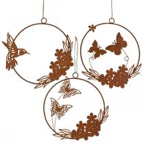 Mola para decoração de janela, decoração para pendurar na parede, aparência de ferrugem de metal 18/18,5 cm 3 unidades