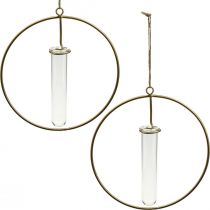 Anel decorativo para pendurar proveta metal dourado Ø16cm 4uds