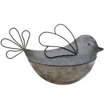 Vaso de parede de pássaro de metal pendurado para pendurar 34 × 22 cm
