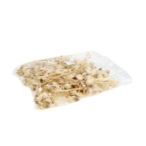 Itens Hakea médio 5-9 cabeças por ramo branqueado 25 unidades