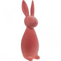 Deco Bunny Deco Coelhinho da Páscoa Flocado Laranja Damasco Alt. 69cm