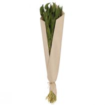 Itens Grama Rabo de Coelho (Lagurus) Verde Decorativa Seca 50-60cm 50g Flores Secas