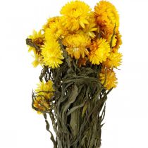 Itens Ramo decorativo de flores secas amarelas de morango 75g