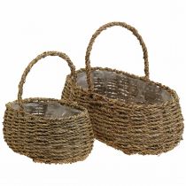 Cesto com pega cesto de plantas cesto de flores L23/34cm conjunto de 2