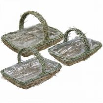 Cesto para plantar, cesto de flores, ramos de videira Shabby-Chic L42cm / 34cm / 28cm conjunto de 3