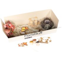 Itens Conjunto de decoração de outono ouriço cogumelos dragão – compre caixa de decoração barata