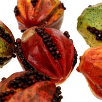 Frutas de outono 3,5 cm vermelho, marrom 24 peças