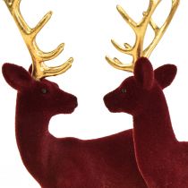 Itens Deer Deco Reindeer Bordeaux Gold Calf Flocado 20 cm Conjunto de 2
