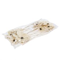 Itens Flor de madeira como tampão, branqueada Ø9-12cm C45cm 15 peças