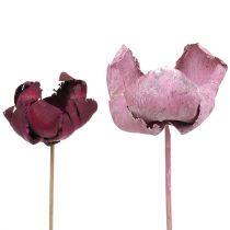 Itens Flor de madeira, copo de palma mix rosa-erika 25 un