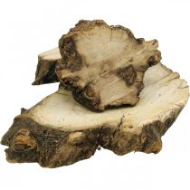Discos de madeira deco raiz de madeira dispersão decoração madeira 3-8cm 500g