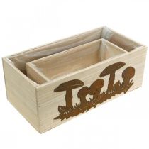 Itens Conjunto floreira, caixas de madeira com cogumelos, pátina decoração de outono L40/30cm conj. de 2