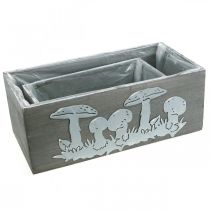 Itens Conjunto de caixa de madeira cogumelo, decorações de outono, decorações de jardim, caixas de plantas L40 / 30cm, conjunto de 2