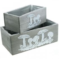 Itens Conjunto de caixa de madeira cogumelo, decorações de outono, decorações de jardim, caixas de plantas L40 / 30cm, conjunto de 2