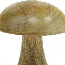 Cogumelo de madeira natural, cogumelos de madeira amarelos deco de outono 12×10cm