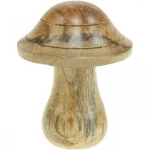 Itens Cogumelo de madeira com ranhuras Cogumelo deco de outono madeira de mangueira natural 10×Ø8cm