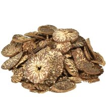 Itens Discos de madeira decorativos fatias de noz de bétele areca 1-3,5cm 300g
