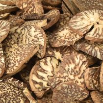 Itens Discos de madeira decorativos fatias de noz de bétele areca 1-3,5cm 300g