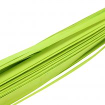 Tiras de madeira verde primavera 95cm - 100cm 50p