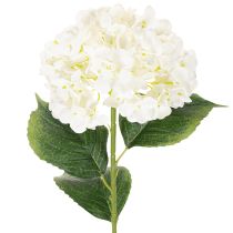 Itens Hortênsia artificial de caule longo, 60 cm
