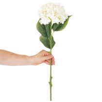 Itens Hortênsia artificial de caule longo, 60 cm