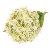 Itens Flor artificial de hortênsia com caule longo e folhas, 60 cm