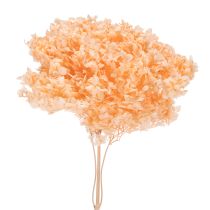 Itens Buquê de hortênsias secas para decoração floral elegante em casa, 65 cm