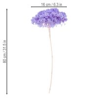 Itens Flor de hortênsia seca para decoração de interiores elegante, 80 cm