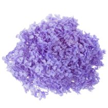 Itens Flor de hortênsia seca para decoração de interiores elegante, 80 cm