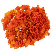 Itens Hortênsia preservada e tingida, flor grande com caule longo, 60 cm