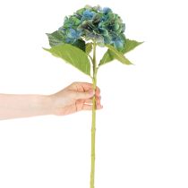 Itens Flor artificial de hortênsia, azul-esverdeada, haste única decorativa, 53 cm