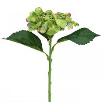 Hortênsia artificial, decoração com flores, flor de seda verde L44cm