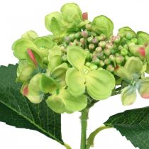 Itens Hortênsia artificial, decoração com flores, flor de seda verde L44cm
