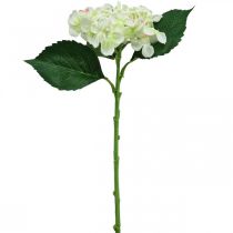 Hortênsia, flor de seda, flor artificial para decoração de mesa branco, verde L44cm