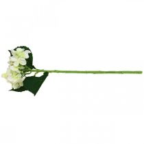 Itens Hortênsia, flor de seda, flor artificial para decoração de mesa branco, verde L44cm