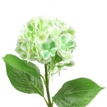 Itens Hortênsia verde artificial, branco 68cm