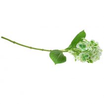 Itens Hortênsia verde artificial, branco 68cm