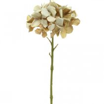 Flor artificial de hortênsia marrom, flor de seda branca decoração de outono H32cm