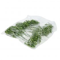 Itens Colheita de botões de hortênsia 22 cm verde 12 unidades