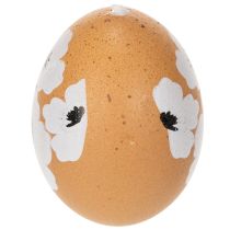 Itens Decoração de Páscoa com ovos de galinha naturais, 6 cm, 6 peças.