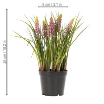 Itens Planta artificial de jacinto em vaso, decoração perfeita para casa e escritório, 26 cm