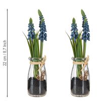 Itens Jacinto artificial Pérola jacinto azul em vidro H22cm 2 peças