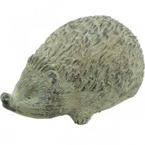 Figura decorativa ouriço 22cm decoração de jardim outono antigo verde 20 × 12 × Alt.10cm