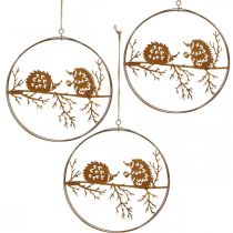Pingente de metal, ouriço no galho, decoração de outono, anel decorativo de aço inoxidável Ø15,5 cm 3 unidades